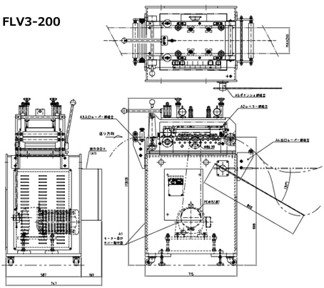 FLV3-200